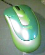 �ʒ��̂悤�ȃO���[���i�΁j