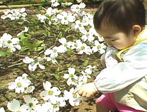 �n�i�~�Y�L