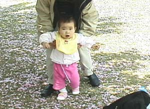 �g���[�j���O