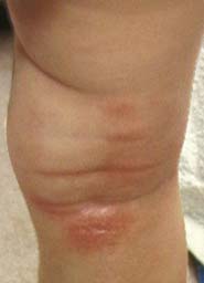 �Ԃ��ԂԂ�