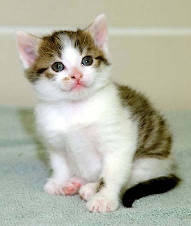 �N���[��