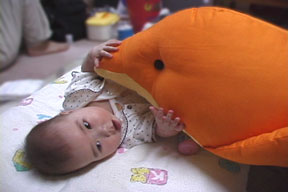 ���b�L�[�~�b�L�[