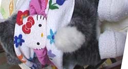 �^�I������������