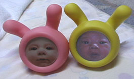 �e�̎ʐ^����