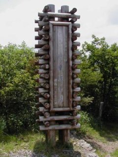 얀dRE