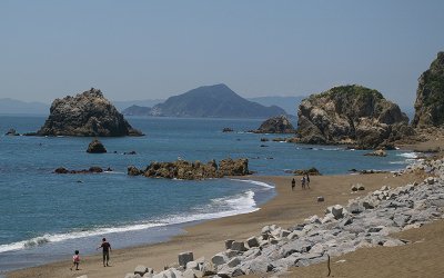VCNȂǔg