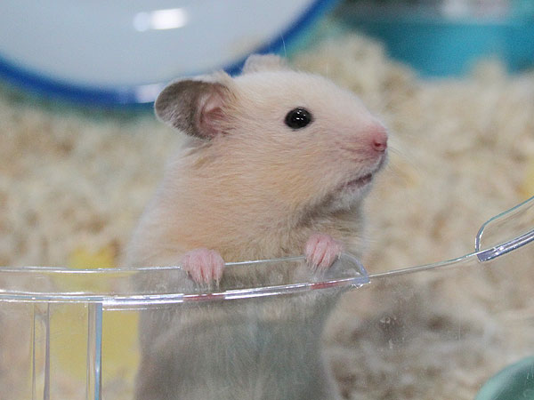 mon600_6129.jpg