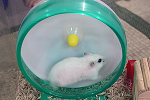 shin_26.jpg