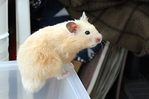 mon_16.jpg