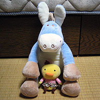 104.jpg