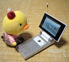 hiyo42.jpg