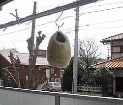 37.jpg
