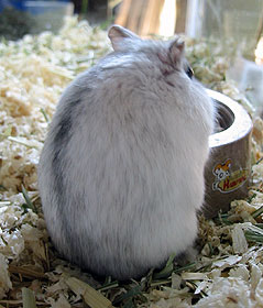53.jpg