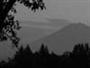 fuji